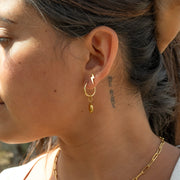 18K Gold PVD Stainless Steel Circle Coin Pendant Earrings / ERJ0049