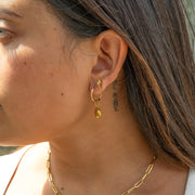 18K Gold PVD Stainless Steel Circle Coin Pendant Earrings / ERJ0049