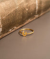 18K Gold PVD Stainless Steel Horseshoe Symbol Ring / ZRJ0001