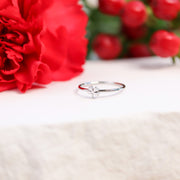 18K Gold PVD Stainless Steel Four Leaf Clover Symbol Ring / ZRJ0002